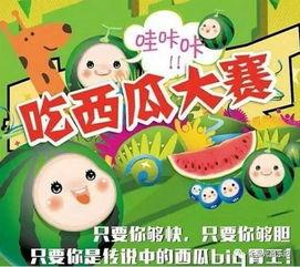 吃瓜喵娱乐报,揭秘娱乐圈最新热点，带你领略明星幕后故事